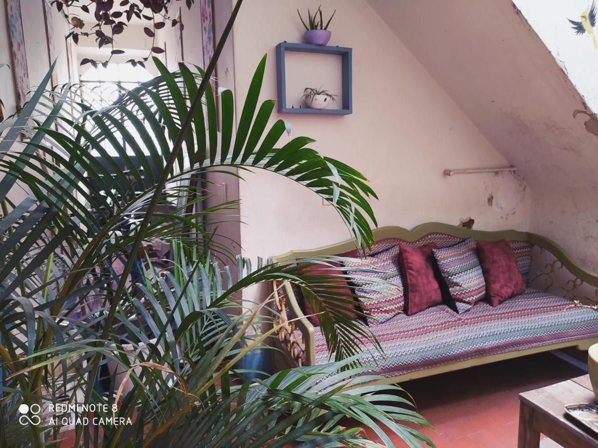 גואדלחארה Casa Atenas (Adults Only) מראה חיצוני תמונה
